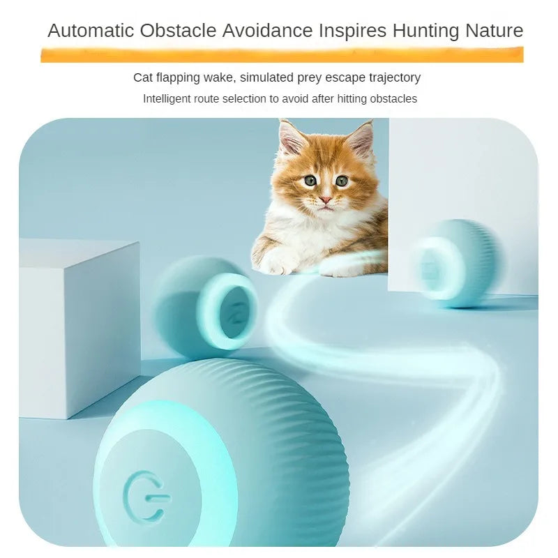 Balle Interactive Lumineuse Rechargeable HappyPaws™